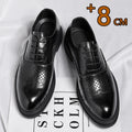 Scarpe Derby da Uomo Brogue Rialzo Interno